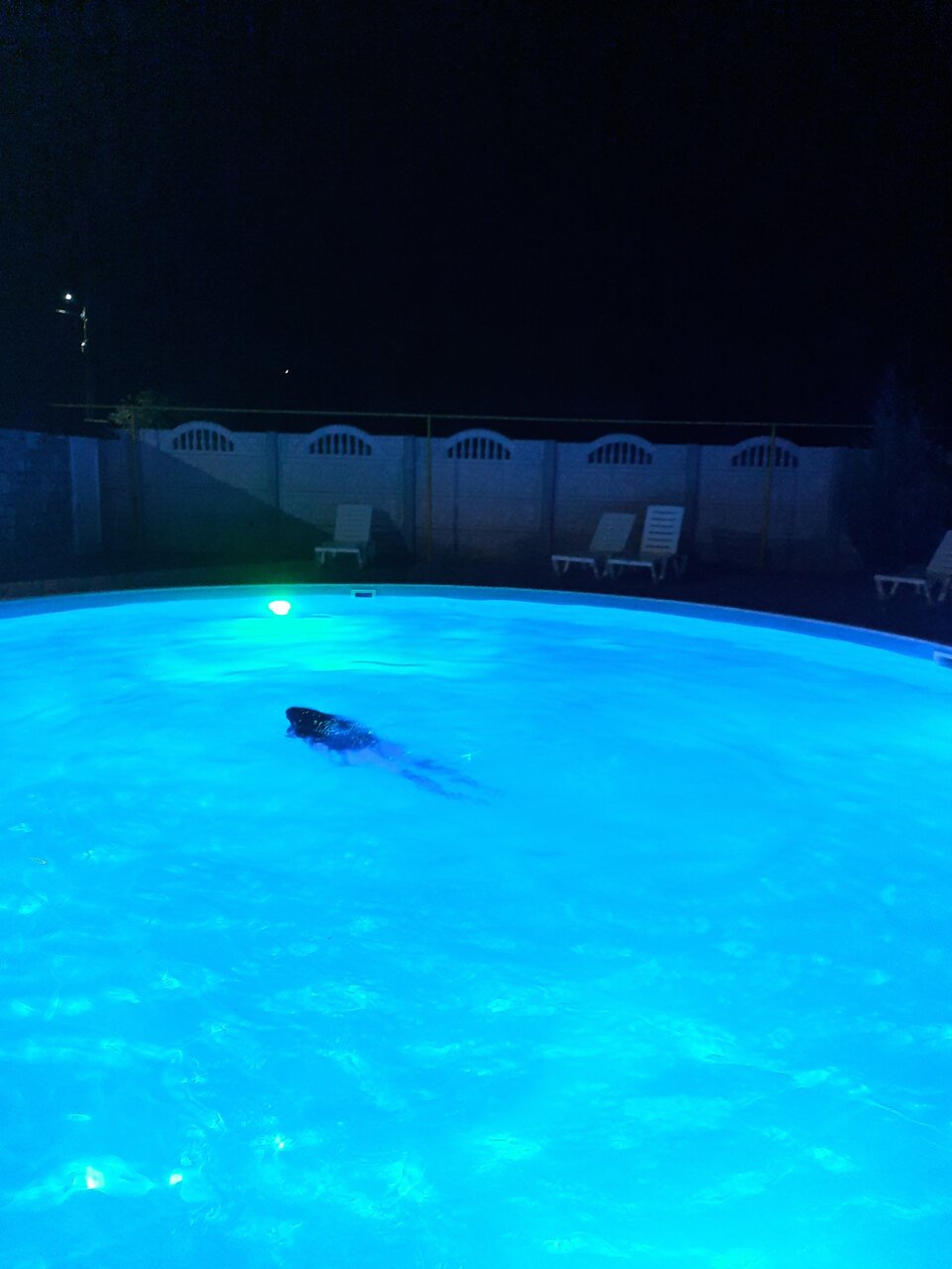 Гостиница Альтера Поповка-32