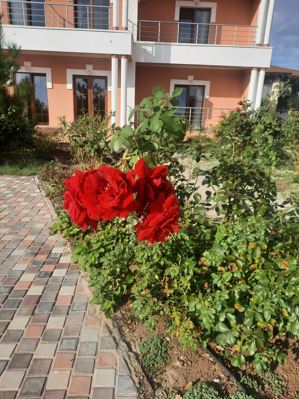 Гостиница Альтера Поповка-15