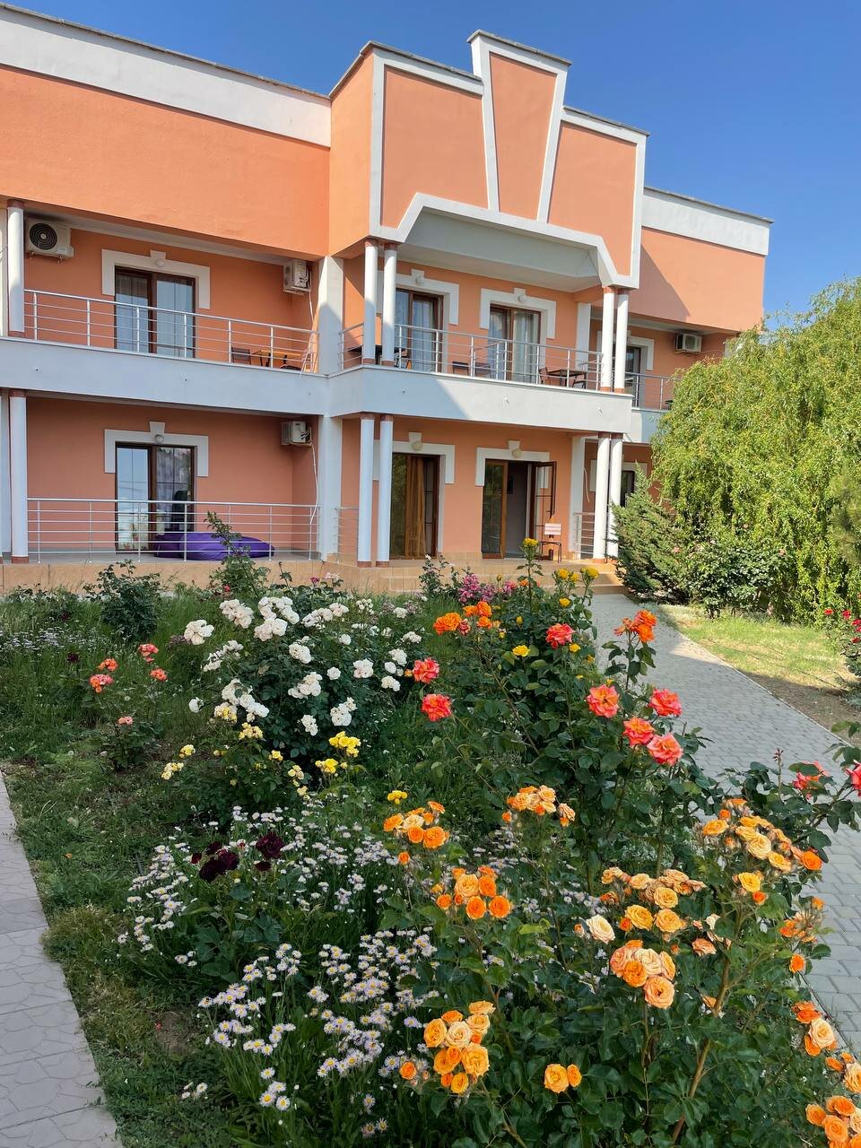 Гостиница Альтера Поповка-67