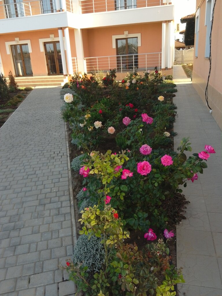 Гостиница Альтера Поповка-8