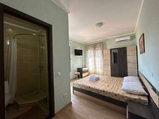 Гостиница Альтера Поповка Стандартный двухместный номер с 1 кроватью-5