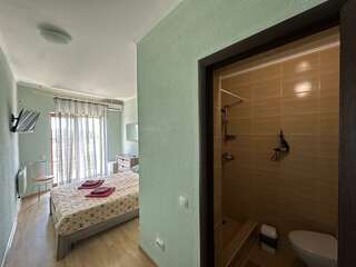 Гостиница Альтера Поповка Стандартный двухместный номер с 1 кроватью-9