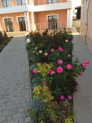 Гостиница Альтера Поповка-4