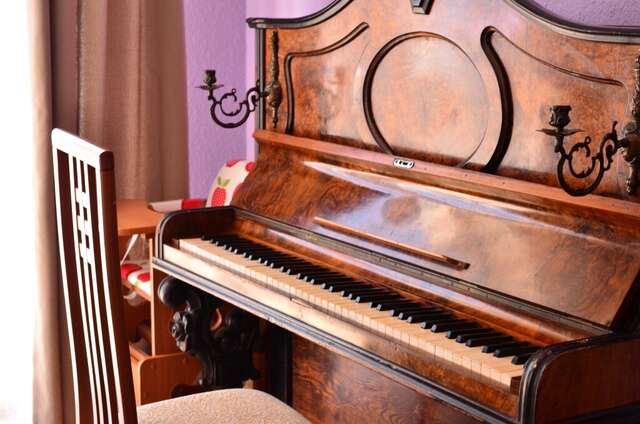 Гостиница Альтера Поповка-17