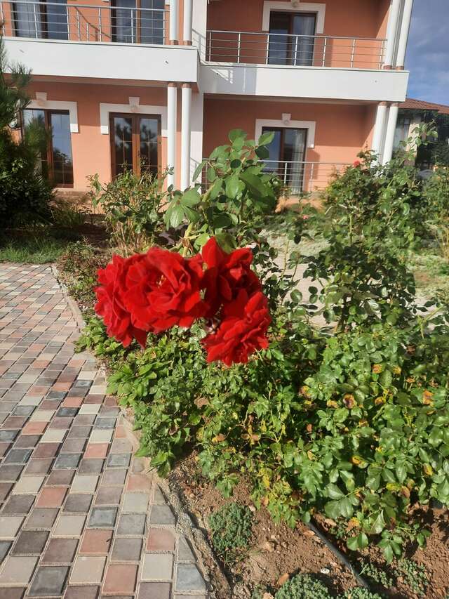 Гостиница Альтера Поповка-14